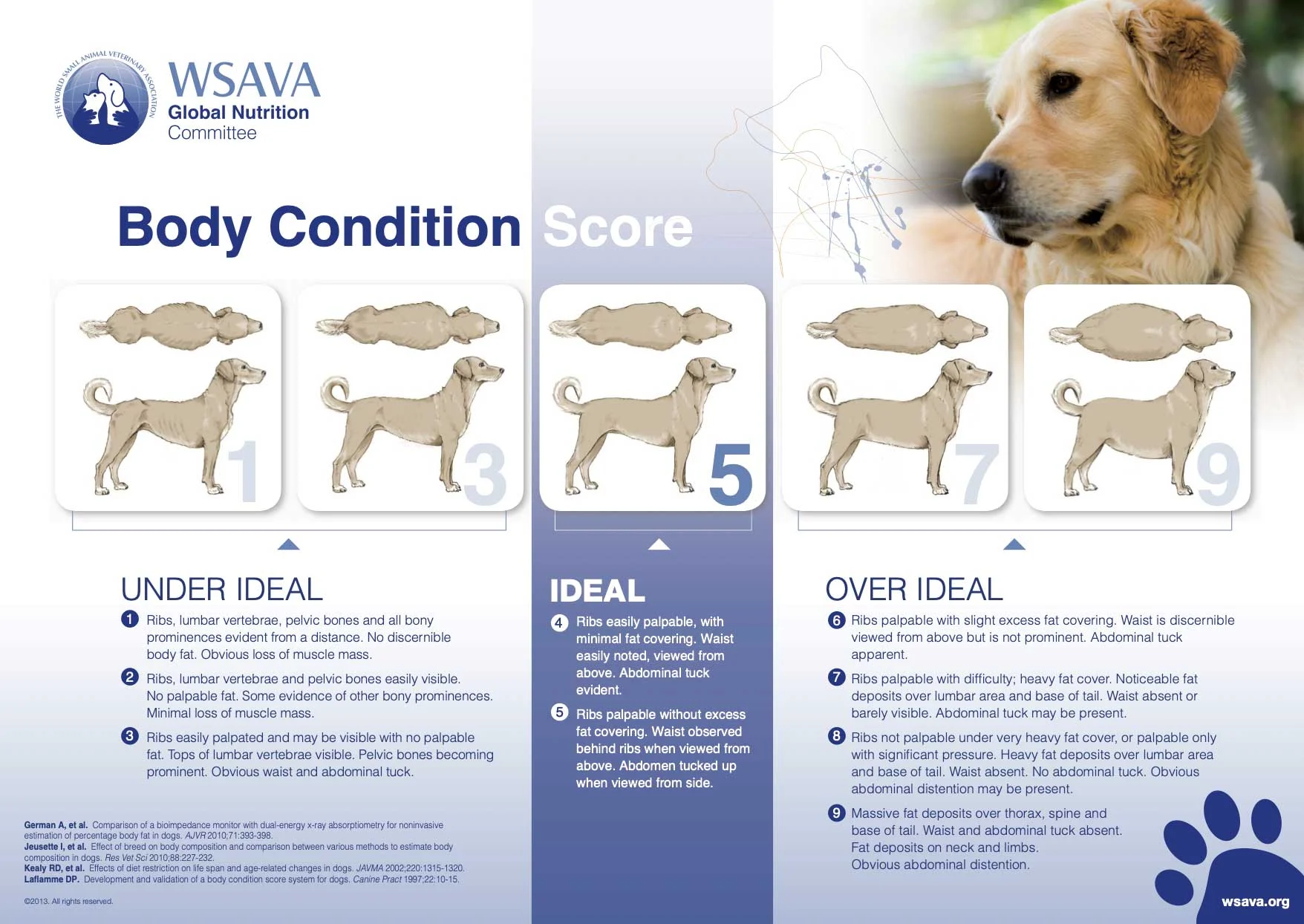 Body Condition Score