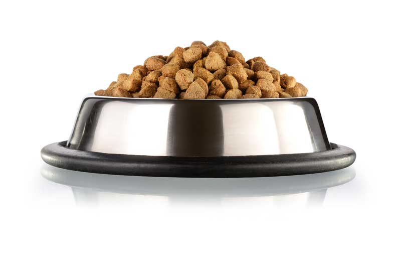 Choosing Dog Food: Unlocking Optimal Nutrition and Health for Your Dog Choosing Dog Food: Unlocking Optimal Nutrition and Health for Your Dog