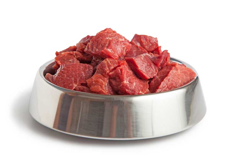 Choosing Dog Food: Unlocking Optimal Nutrition and Health for Your Dog Choosing Dog Food: Unlocking Optimal Nutrition and Health for Your Dog