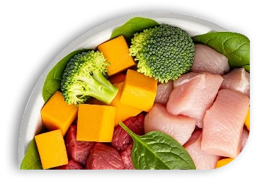 desktop can my dog eat food